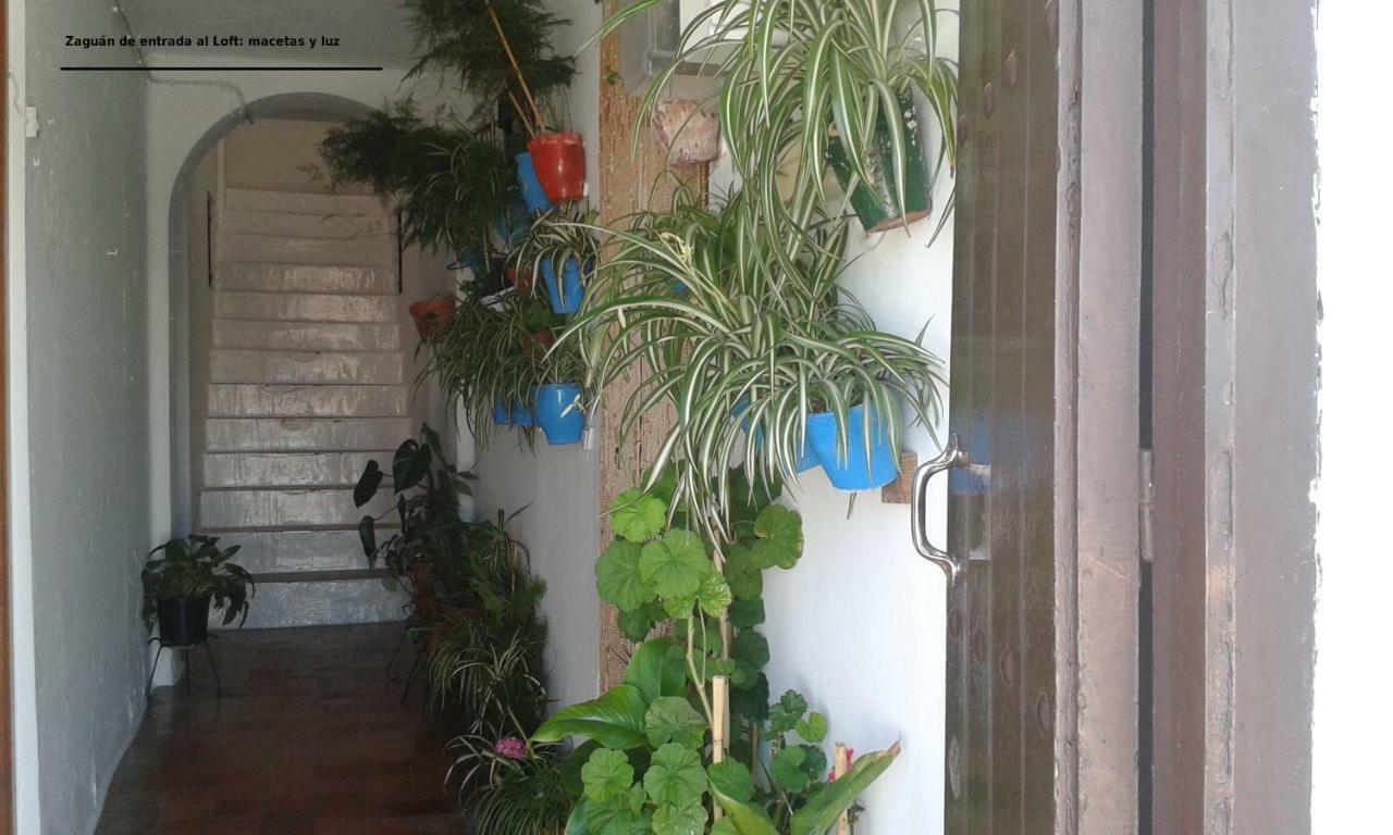 Loft de la Morena Vejer de la Frontera Exterior foto